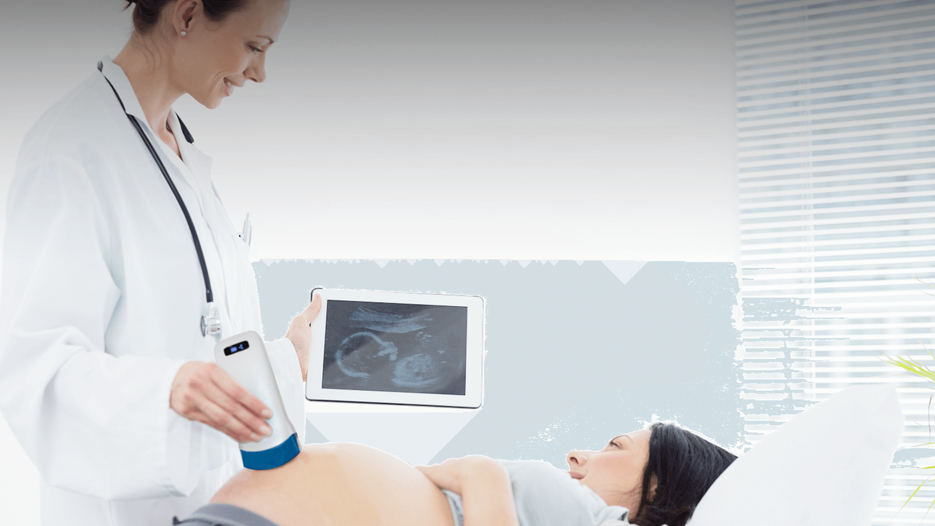 Convex array pocket ultrasound in pregnant woman examination room